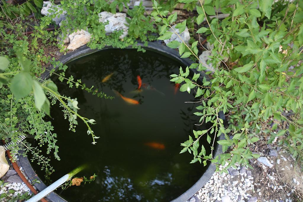 切塞纳蒂科 20Dimare酒店 外观 照片